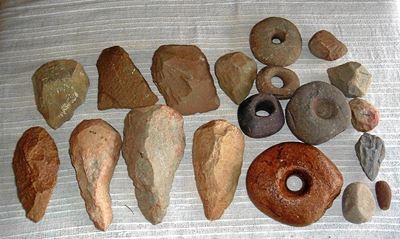 Museum receives pre-historic collection